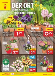 Blumen Angebot im aktuellen Netto Marken-Discount Prospekt auf Seite 22