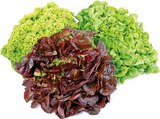 EDEKA Ahlen Prospekt mit  im Angebot für 0,88 €