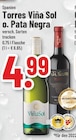 Viña Sol oder Pata Negra im Angebot bei Trinkgut in Soest Viña Sol oder Pata Negra Angebote von Torres bei Trinkgut Soest für 4,99 €
