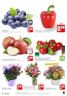 Pflanzen im EDEKA Prospekt "Aktuelle Angebote" mit 34 Seiten (Pforzheim)