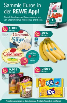 Bananen im REWE Prospekt "Dein Markt" mit 26 Seiten (Bonn)