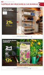 Prix et réduction Terreau dans le prospectus Carrefour Market en cours Offre Terreau dans le catalogue Carrefour Market du moment à la page 70