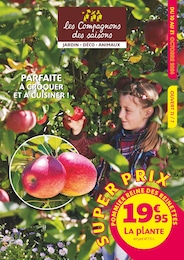 Prospectus Les Compagnons des saisons à Compiègne, "PARFAITE À CROQUER ET À CUISINER !", 12 pages, 10/10/2024 - 21/10/2024