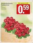 Niederländische Radieschen bei WEZ im Hille Prospekt für 0,59 €