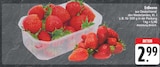 Angebot im EDEKA Lauf (Pegnitz) Prospekt EDEKA Lauf (Pegnitz) Prospekt mit im Angebot fĂŒr 2,99 âŹ