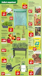 Tomaten Angebot im aktuellen Thomas Philipps Prospekt auf Seite 5