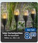 Solar-Gartenleuchten von Ideenwelt im aktuellen Rossmann Prospekt für 8,99 €