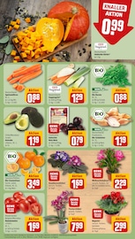 Aktueller REWE Prospekt mit Blumen, "Dein Markt", Seite 9