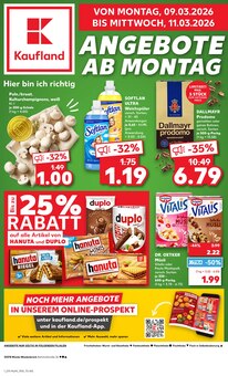 Aktueller Kaufland Rheda-Wiedenbrück Prospekt Kaufland Rheda-Wiedenbrück Prospekt "KNÜLLER" mit 86 Seiten