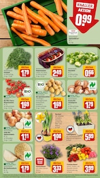 REWE Staubsauger im Prospekt 