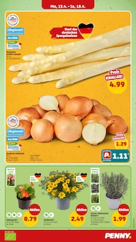 Spargel im Penny Prospekt "Wer günstig will, muss Penny." mit 40 Seiten (Mönchengladbach)