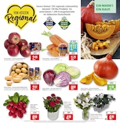 Pflanzen im Marktkauf Prospekt in Nürtingen Aktueller Marktkauf Prospekt mit Pflanzen, "Aktuelle Angebote", Seite 5
