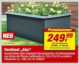 toom Baumarkt Eisenach Prospekt mit  im Angebot für 249,99 €