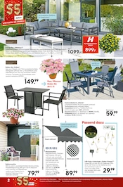 Aktueller Hellweg Prospekt mit Garten, "Jubiläums-angebote", Seite 2