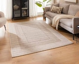 Design-Teppich Olvera  im aktuellen Segmüller Prospekt für 24,99 €