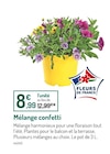 Mélange confetti - Fleurs de France - Botanic à Clermont-Ferrand Mélange confetti - Fleurs de France en promo chez Botanic Clermont-Ferrand à 8,99 €