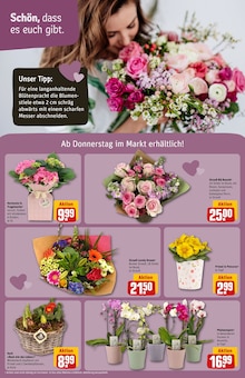 Blumentopf im REWE Prospekt "Dein Markt" mit 30 Seiten (Ludwigshafen (Rhein))