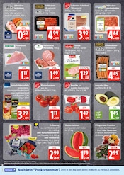Ähnliche Buchsbaum Angebote im Prospekt "Top Angebote" von EDEKA Frischemarkt in Rostock Ähnliche Angebote wie Buchsbaum im Prospekt "Top Angebote" auf Seite 2 von EDEKA Frischemarkt in Rostock