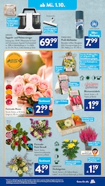 Aktueller ALDI SÜD Prospekt mit Blumenzwiebeln, "Gutes für Alle.", Seite 19