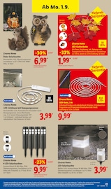 Aktueller Lidl Prospekt mit Solarlampe, "LIDL LOHNT SICH", Seite 37