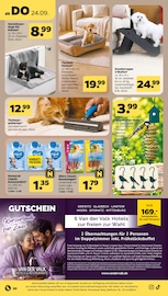 Vogelfutter Angebote im Prospekt "Günstig. Besser. Für Dich." von Netto mit dem Scottie Vogelfutter Angebote im Prospekt "Günstig. Besser. Für Dich." von Netto mit dem Scottie auf Seite 22