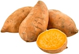 Süßkartoffeln im Angebot bei REWE in Bornheim Süßkartoffeln Angebote von REWE Regional bei REWE Bornheim für 2,22 €