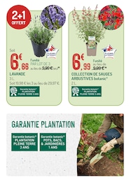Offre Lavande dans le catalogue Botanic du moment à la page 9