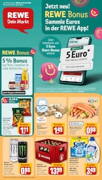 REWE Prospekt für Erlangen mit 34 Seiten REWE Prospekt "Dein Markt" für Erlangen, 34 Seiten, 13.01.2025 - 18.01.2025