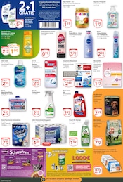Head and Shoulders im GLOBUS Prospekt in Gera Aktueller GLOBUS Prospekt mit Head and Shoulders, "Aktuelle Angebote", Seite 17
