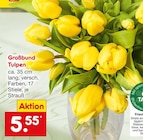 Großbund Tulpen Angebote bei Netto Marken-Discount Solingen für 5,55 €