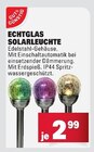 Echtglas Solarleuchte Angebote bei E center Darmstadt für 2,99 €