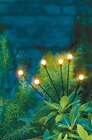 Solar-Gartenstecker Glühwürmchen von GARDEN DREAM im aktuellen Netto mit dem Scottie Prospekt für 3,99 €