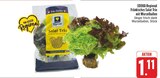 E center Veitshöchheim - Fränkisches Salat Trio mit Wurzelballen Angebot im Prospekt Fränkisches Salat Trio mit Wurzelballen bei E center im Veitshöchheim Prospekt für 1,11 €