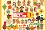 Herbst-Dekoration im Angebot bei Marktkauf in Leipzig Herbst-Dekoration Angebote bei Marktkauf Leipzig für 1,00 €