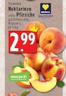 EDEKA Köln - Nektarinen Angebot im Prospekt Nektarinen bei EDEKA im Köln Prospekt für 2,99 €