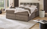 Boxspringbett im Angebot bei Höffner in Kassel Boxspringbett Angebote bei Höffner Kassel für 39,99 €
