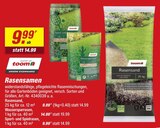 Rasensand von toom im aktuellen toom Baumarkt Prospekt für 9,99 €