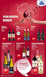 Aktueller Getränke Hoffmann Prospekt mit Rotwein, "Aktuelle Angebote", Seite 4