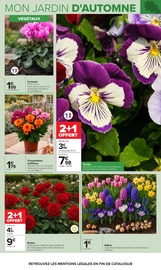 Promos Chrysanthèmes dans le catalogue "JARDIN" de Carrefour Chrysanthèmes en promo dans le catalogue Carrefour à la page 3