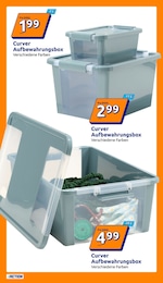 Aufbewahrungsbox Angebot im aktuellen Action Prospekt auf Seite 13