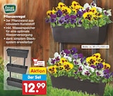 Pflanzenregal von Living Garden im aktuellen Netto Marken-Discount Prospekt für 12,99 €