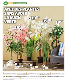 Offre Arbuste dans le catalogue Gifi du moment à la page 20