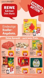 Ähnliche Angebote wie Paderborner im Prospekt "Dein Markt" auf Seite 1 von REWE in Bergisch Gladbach