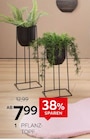 Aktuelles Ambia Home Pflanztopf Angebot bei XXXLutz Möbelhäuser in Magdeburg ab 7,99 €