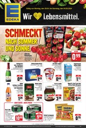 Ähnliche Angebote wie Nutella & Go im Prospekt "Wir lieben Lebensmittel!" auf Seite 1 von nah und gut in Dresden