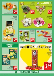 Pflanzen im Marktkauf Prospekt in Bautzen Aktueller Marktkauf Prospekt mit Pflanzen, "AUSWAHL RIESIG, PREISE NIEDRIG", Seite 9