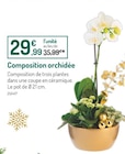 Promo Composition orchidée à 29,99 € dans le catalogue Botanic à Mouans-Sartoux