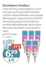 Zimmerpflanzen im V-Markt Prospekt Orchideen Vitalkur im aktuellen V-Markt Prospekt für 6,99 €