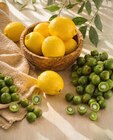 Kiwi-Beeren von NERGI im aktuellen Netto Marken-Discount Prospekt für 1,79 €