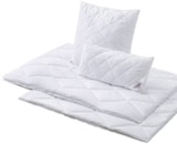 Aktuelles Ganzjahresbett Angebot bei XXXLutz Möbelhäuser in Freiburg (Breisgau) ab 11,99 €